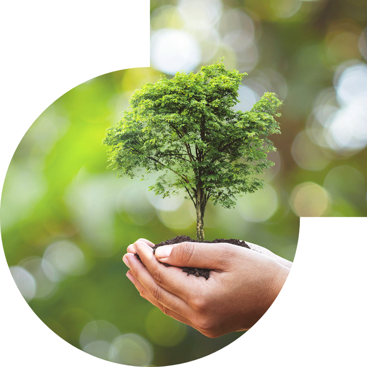 关怀人类、文化、环境与社会